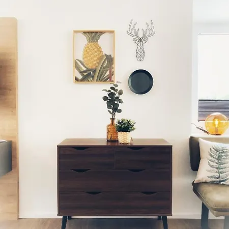 Seelos - Alpine Easy Flats