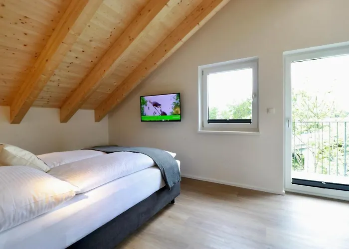 Seelos - Alpine Easy Flats Mieming